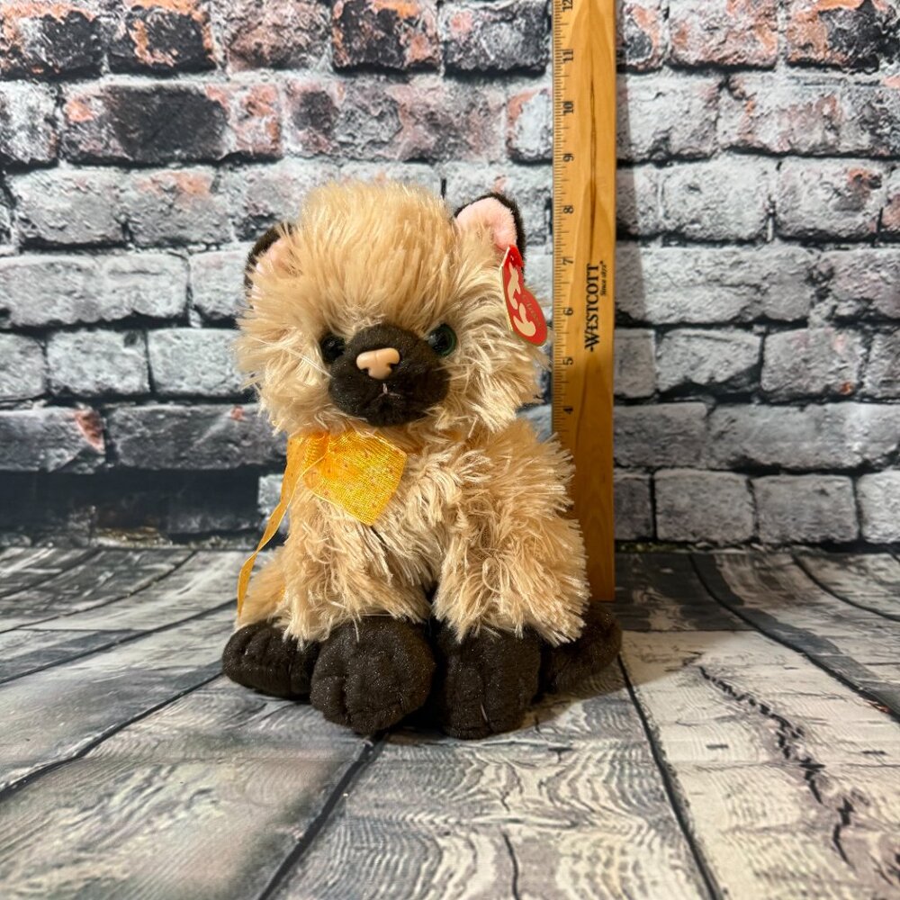 Vintage Ty Classic Beanie Babies 2005 "Cassidy" the Cat 8" Plush Toy - MWMT - Picture 7 of 12